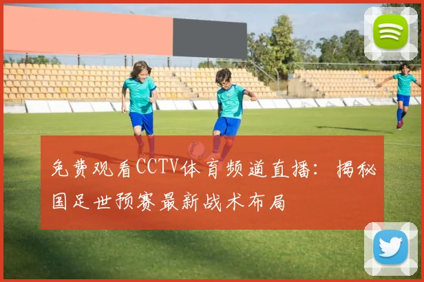 免费观看CCTV体育频道直播：揭秘国足世预赛最新战术布局