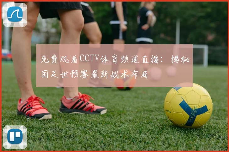 免费观看CCTV体育频道直播：揭秘国足世预赛最新战术布局